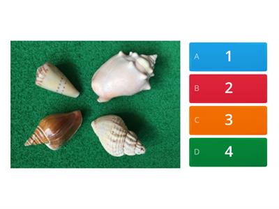 Subitise- number recognition to 5