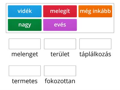 Le pygargue à queue blanche / A rétisas (synonymes / rokon értelmű szavak)