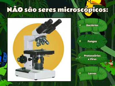 Microrganismos 4º Ano - Bactérias, Fungos, Vírus e Protozoários
