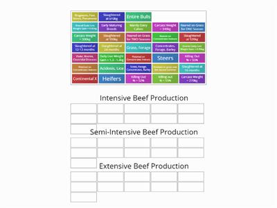 Beef Production Systems Group Sort