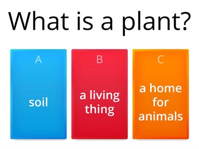 The Life Cycle of Plants