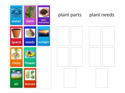  Plant needs and parts