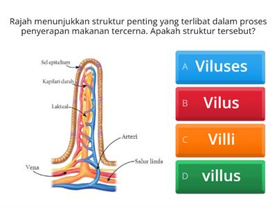 3.4 Proses Penyerapan dan Pengangkutan Hasil Pencernaan serta Penyahtinjaan