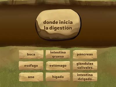 Fisiología digestiva