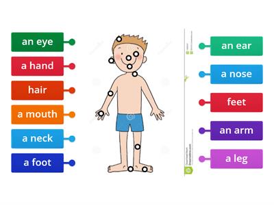 Primary 1 - Unit 7: My Body