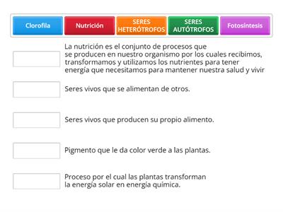 Los seres vivos en el proceso de nutrición 