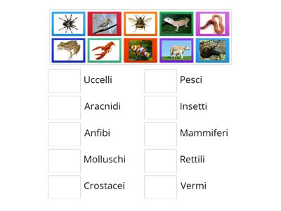 Vertebrati e invertebrati