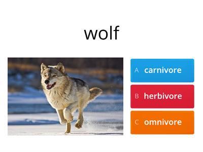 Level F Carnivore, Herbivore or Omnivore?