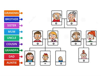 Revision-Family tree (Bright ideas 1)