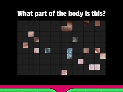 Guess the parts of the body