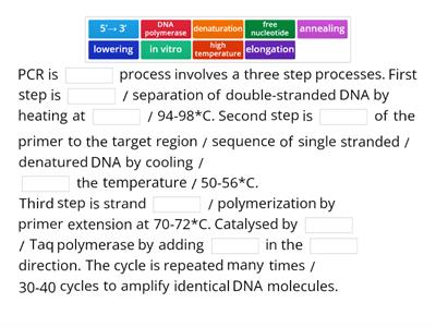  Describe the Polymerase Chain Reaction.