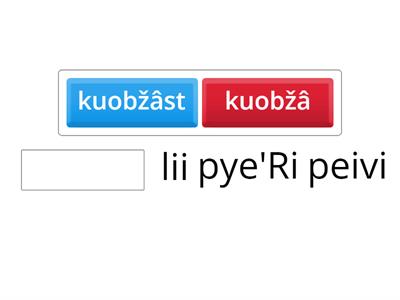 KK pittá 2: genetiivi vai lokatiivi