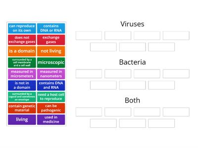 Compare and Contrast Viruses and Bacteria