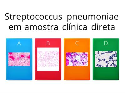 Micro clínica - Atividade 1