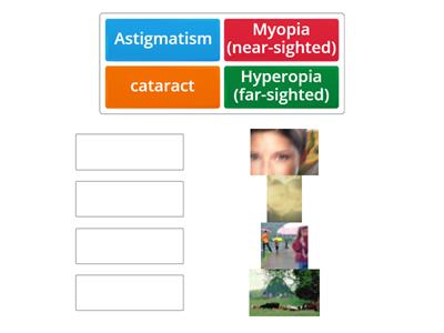 Sight problems word match