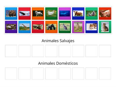 ¿Cuáles son los animales domésticos y salvajes?