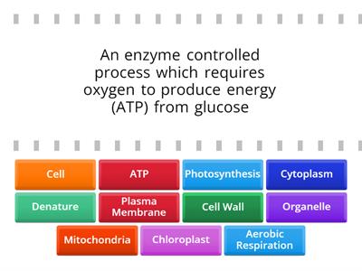  L2 Cell Biology. Cell Structures Definitions