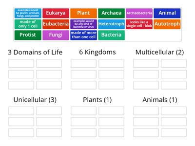 Taxonomy Word Wall