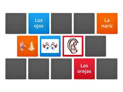 Ejercicio pares: partes del cuerpo