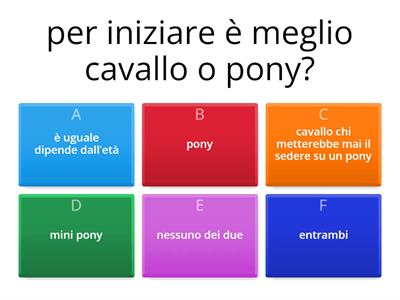 equitazione 