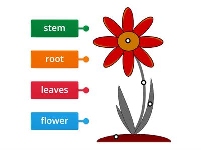 parts of plant designed by seif......