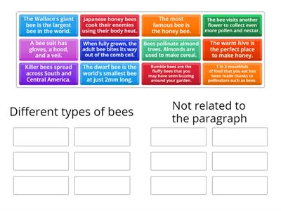Different types of bees