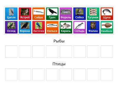 Отделите рыб от птиц