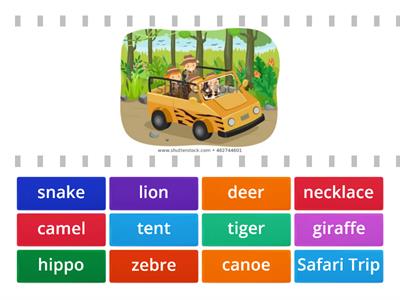 Safari Trip Vocabulary 