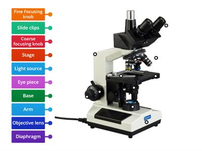 Labelling a light microscope
