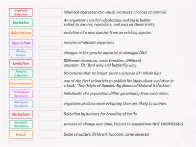 Biological Evolution Review