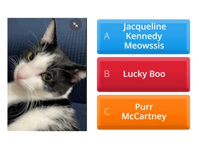 Boo Purr and Jackie But their full names