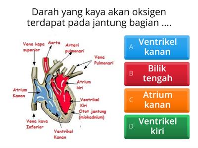 Soal IPA Materi Sistem Peredaran Darah Manusia