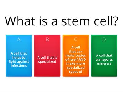 Stem Cell Quiz