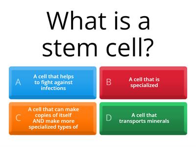 Stem Cell Quiz