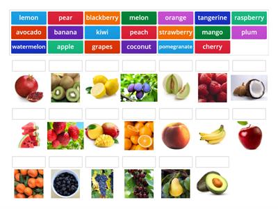 Fruit and Vegetable 