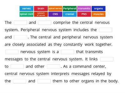 Activity 1: Fill Me Out! (DIVISIONS OF THE NERVOUS SYSTEM)