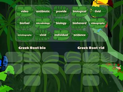 Greek Roots vid & bio