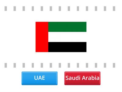 UAE and Saudi Arabia