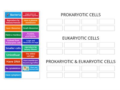 CAX KS5 Prokaryotic vs Eukaryotic cells
