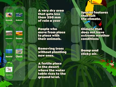 Climate and Vegetation Terminology