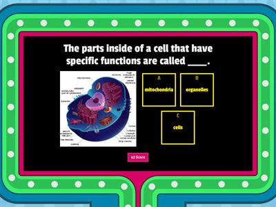 Basic Plant and Animal Cell Organelles