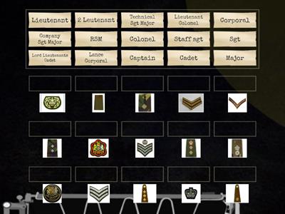 Ranks/Badges