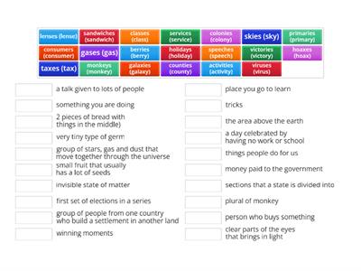 Savvas Unit 2 Week 1 Plurals