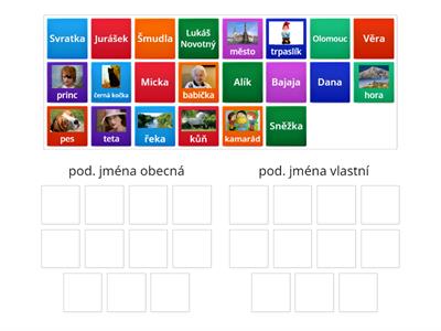 Pod. jména obecná a vlastní
