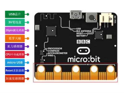 MicroBit Board (back)