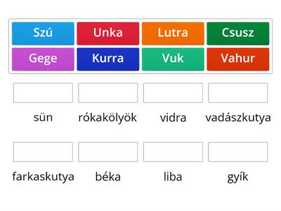 3.a - Az állatok regénybeli elnevezése 