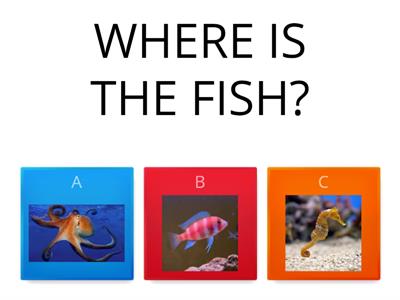 WHERE ARE THE SEA ANIMALS?