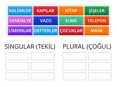 Singular and Plural in Turkish 