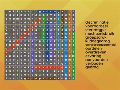 woordzoeker discriminatie 