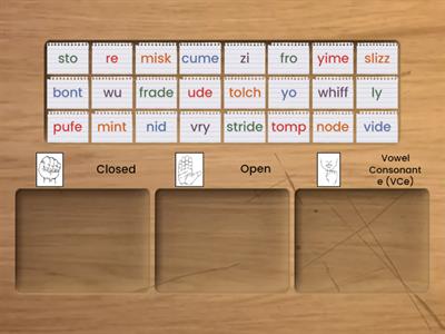 Closed/Open & VCe Syllables